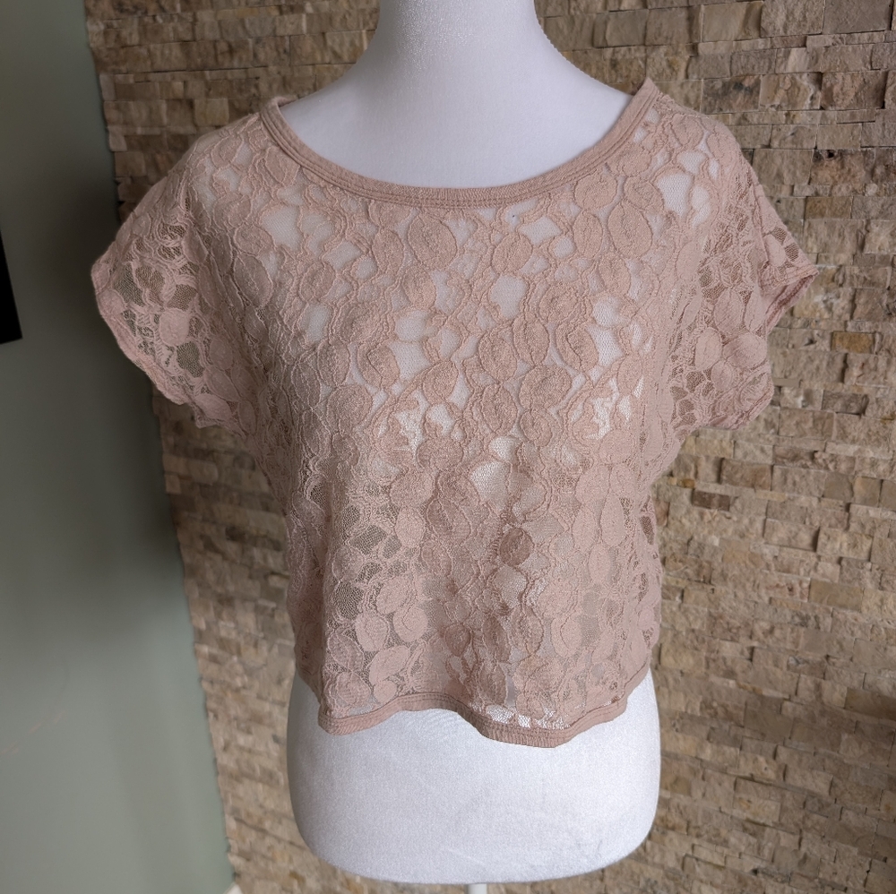 Lace Feminine Blush Pink Sheer Crop Top Coquette Fairy Romantic Kawaii Sz Small